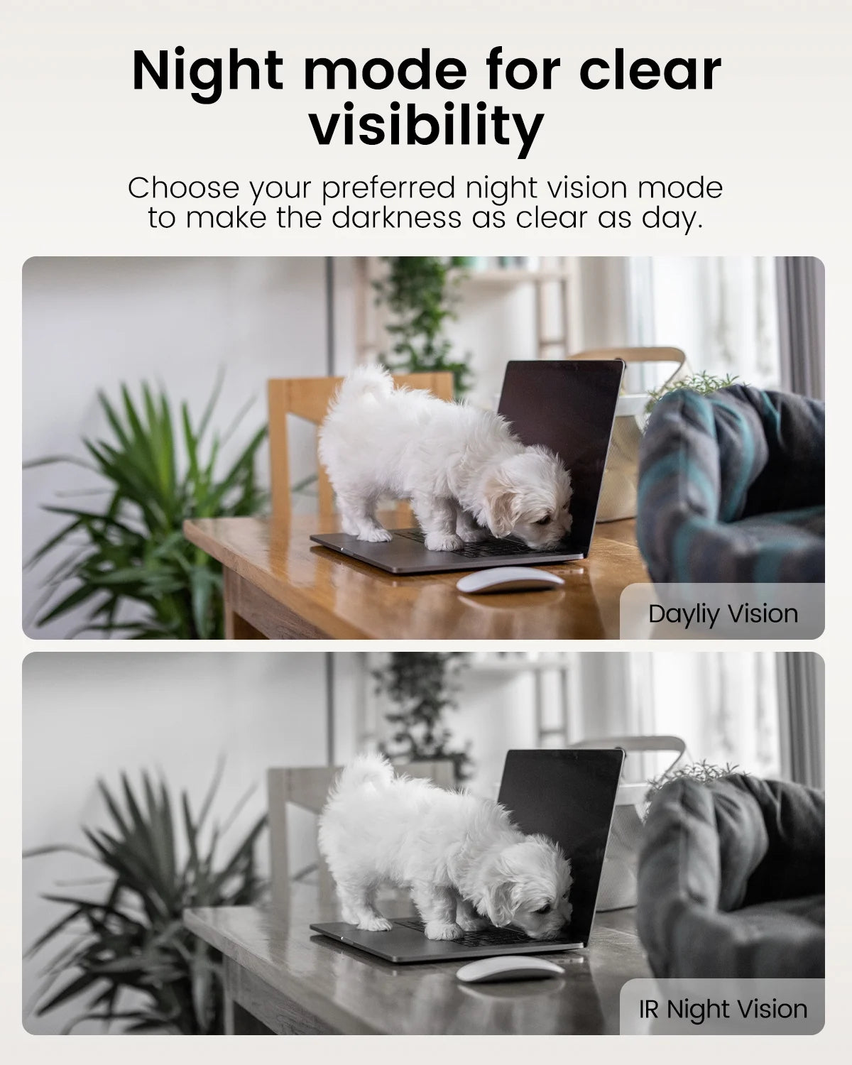 5G/2.4G Indoor Cameras for Home Security,2.5K Pet Camera with Phone APP for Dog/Cat, 360° Pan/Tilt Baby Monitor with Motion Tracking & Alerts,Alexa